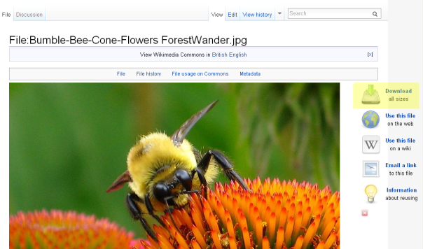 Wikimedia Commons download link