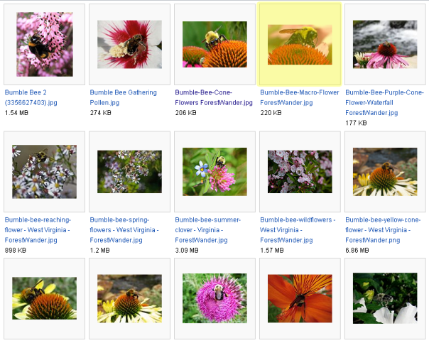 Wikimedia Commons thumbnails