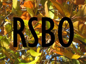 rsbo-logo2
