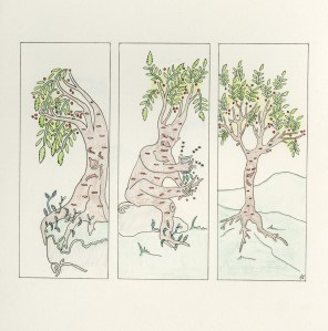 Original drawing. Julia Lock, PGR Student at Moulton College. IoR 2015-16.