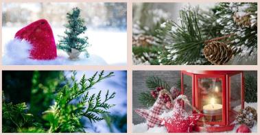 Dec - All E-bulletin Images